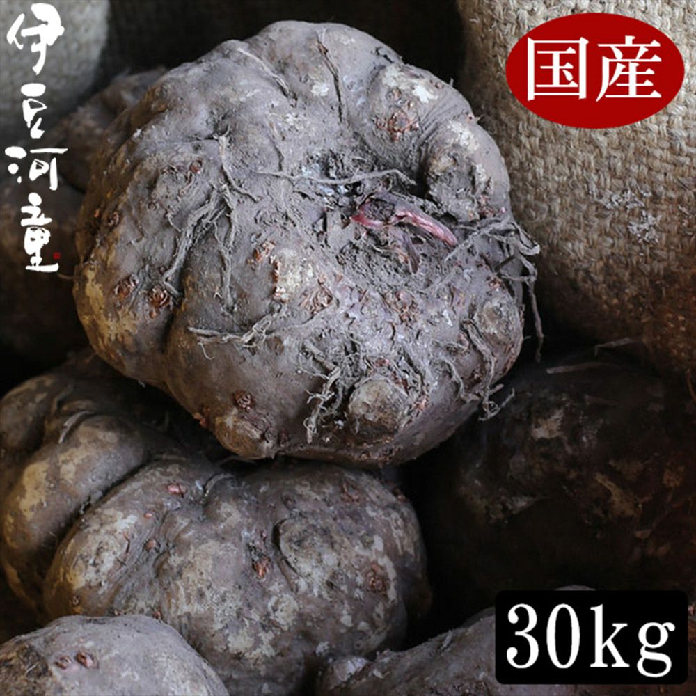 000000000096-01.jpg?size=l&w=